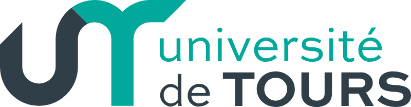 Mes projets universitaires